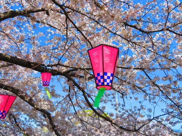 [ITmedia ビジネスオンライン] 企業の「お花見・歓迎会」実施率、3割未満に　コロナ後も戻らず