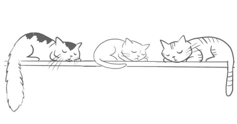 [ITmedia News] 「左巻き vs. 右巻き」──猫の寝方はどちらが多い？　400本以上のYouTube動画を分析