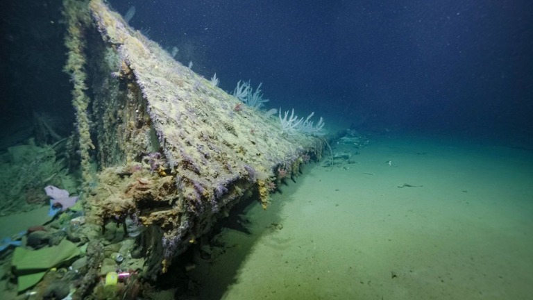 第２次大戦の激戦生き延びた米海軍艦、魚雷で失われた艦首見つかる　ソロモン諸島