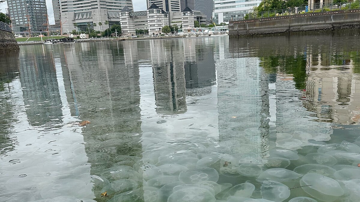 トリプル高気圧により6月は記録的猛暑に「8月まで続く」と識者が語る