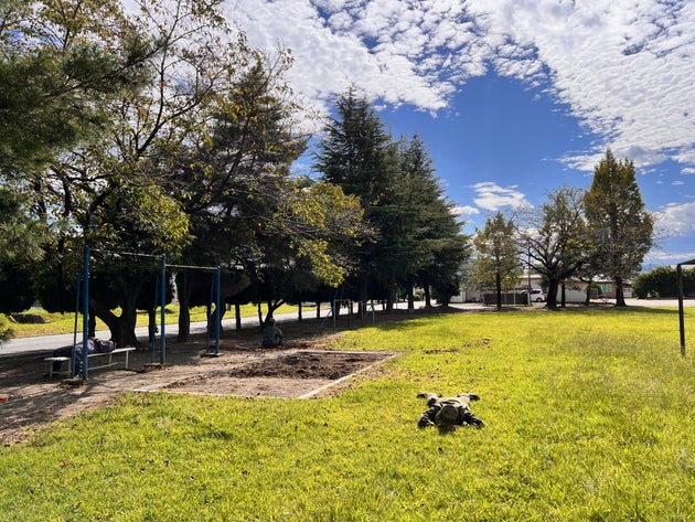 公園に「迷彩服の自衛官」が3人います⇨「見つけた」「1人わからん」。自衛隊の“かくれんぼ”写真、陸海空が集結