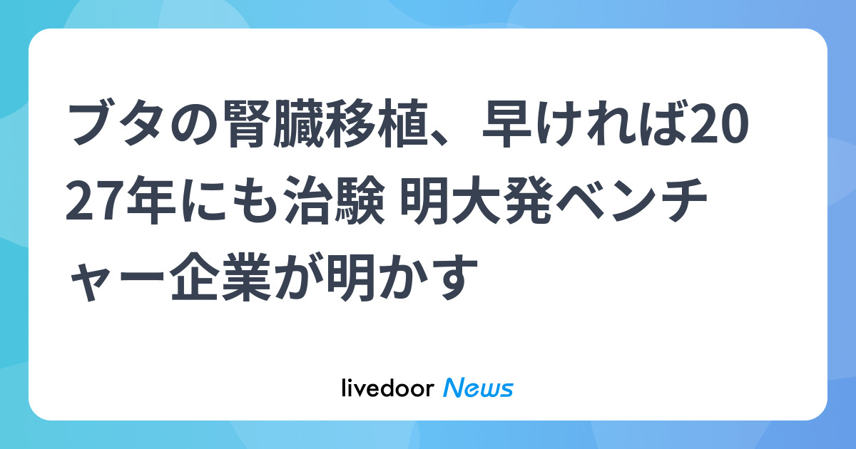 ブタの腎臓移植、早ければ2027年にも治験 明大発ベンチャー企業が明かす
