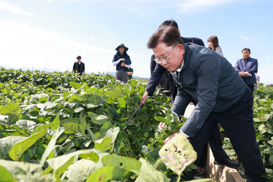 韓国で、カロリー・穀物自給率が30年余りの間で半分に減る