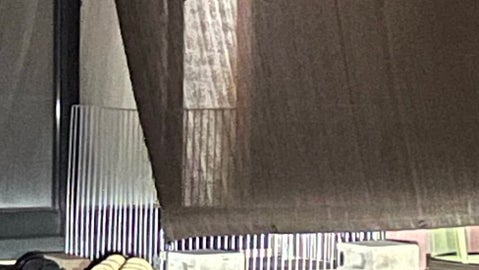 「辛いことあって帰ってきてもさ…」窓際でじっと待つパグ“無言の励まし”に救われる