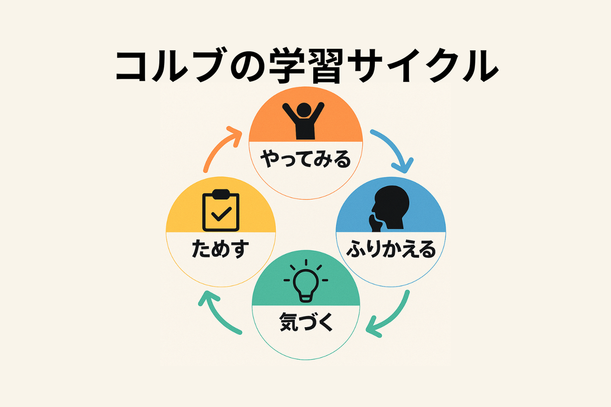 学びを本物の知識に変える4つのステップ｜実践的な「コルブの学習サイクル」とは？