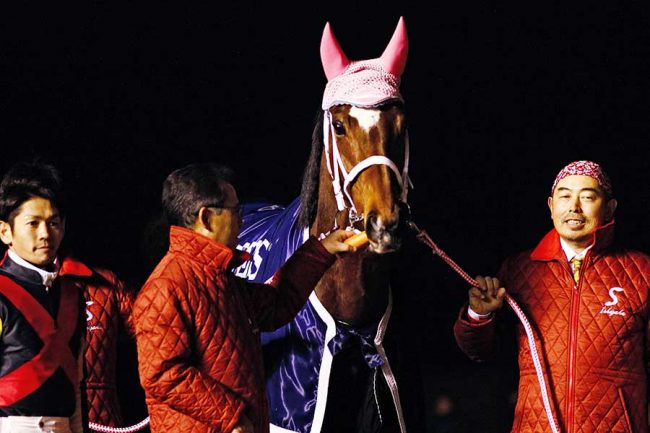 2012年の3冠牝馬・ジェンティルドンナ死す G1通算7勝の名牝