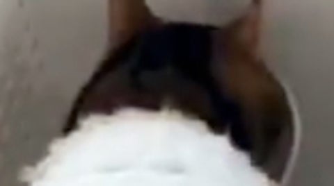 なぜ…？愛猫の独特すぎる食べ方に「筋トレかな？」「癖強い子がいる」