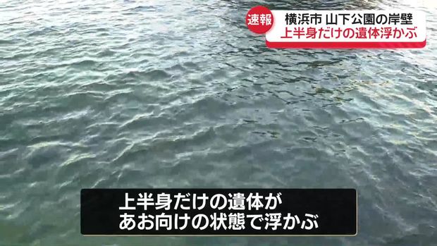 山下公園の岸壁で上半身だけの遺体を発見、事件と事故の両面で捜査 横浜市