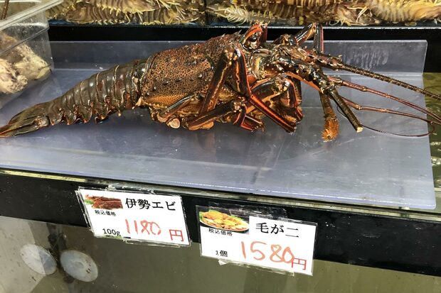 英国、ロブスターやカニを生きたまま茹でる行為を禁止へ「許容できない」