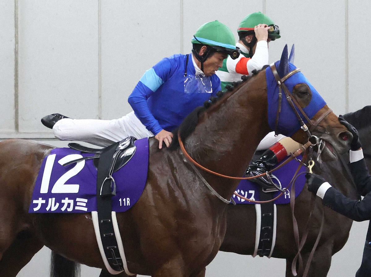 1番人気に応えられず敗戦 古馬相手にG1獲りを期す3歳馬ナルカミ