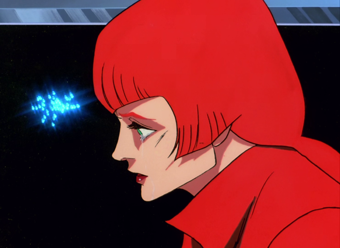 【画像あり】伝説巨神イデオンのハルルとかいう父からは男に生まれなかったことを惜しまれ続け好きな男には能力に嫉妬され振られるという女に産まれた苦しみの煮凝りみたいな人