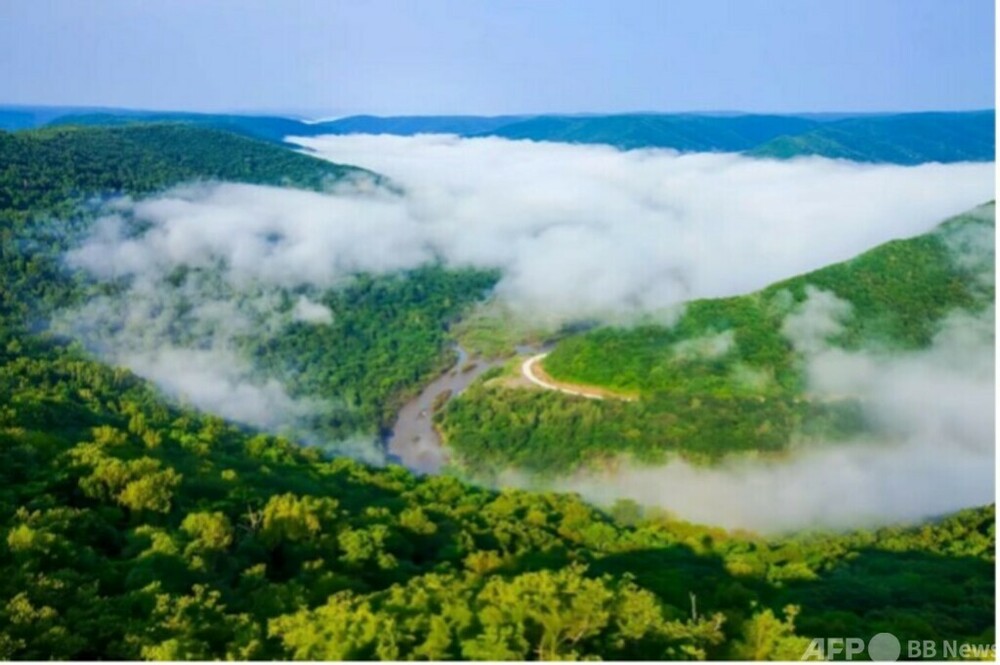 小興安嶺：ここに林業技術の「小さな拠点」がある