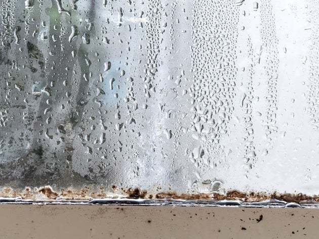 「窓ガラス」の黒カビ、簡単に落とす裏技とは。ヒントは洗剤。“アレ”を使えば結露の予防も楽チンに