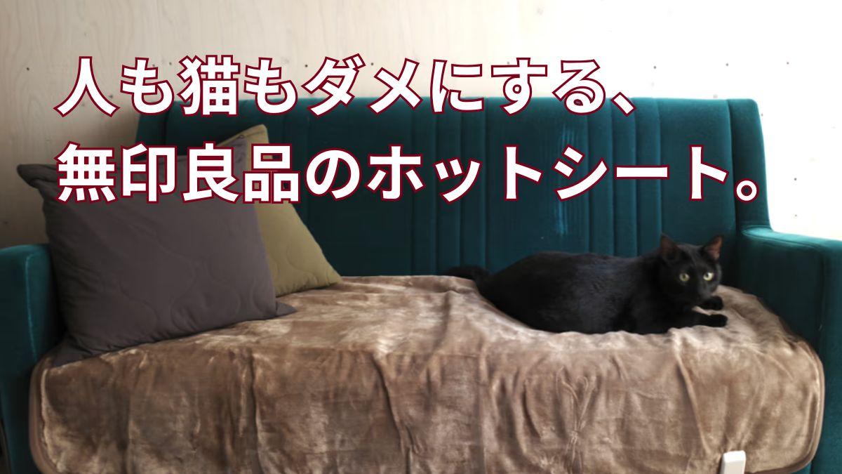 【無印がまた人をダメにする…】冷たいソファを「秒でぽかぽか」にする冬の必需品