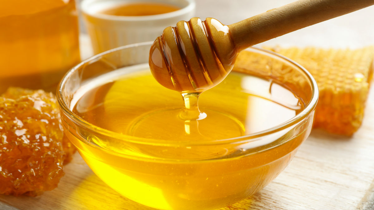 アフリカのハチミツハンターが「ミツバチの巣を教えてくれる鳥」を呼ぶ声には地域ごとの方言がある