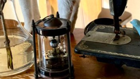 これが真の“ボニャール”すぎる猫だ。数々ミームの中で「ほぼ一致」「芸術点が高い」と絶大な評価を受ける