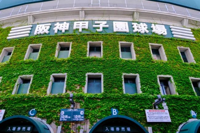 英明vs東北の試合で頭部死球発生…球場一時騒然する事態に 第98回センバツ