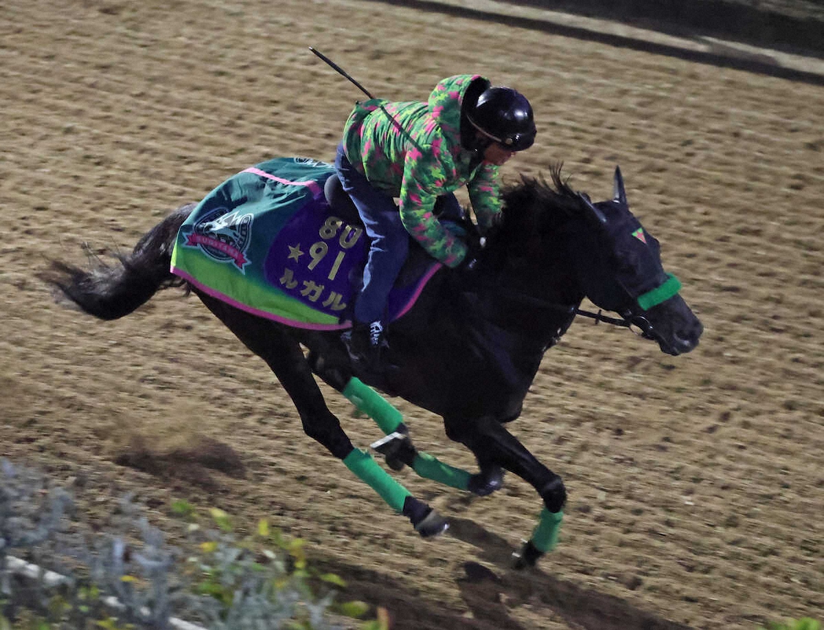 G1「アルクオーツスプリント」2着のルガルに及ばず ドバイ国際競走