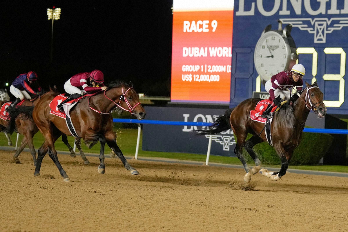 ドバイW杯 G1で引退の可能性も