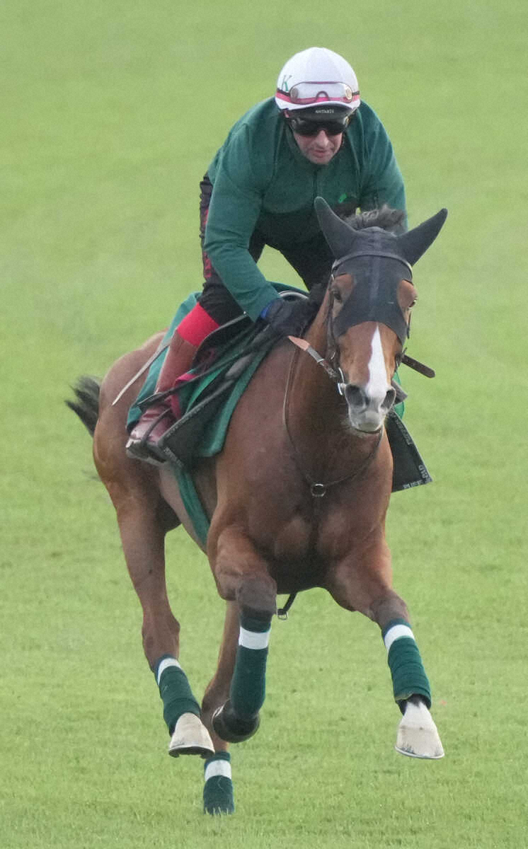 ジャパンCで20年ぶりの外国馬V フランスのカランダガンが今季初戦へ