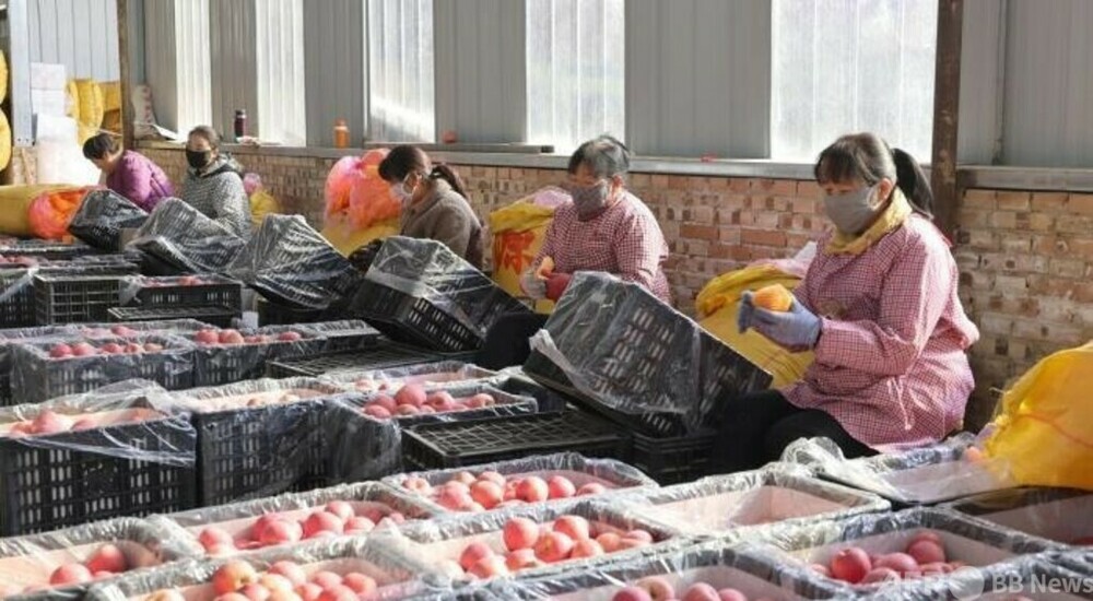 黄土高原の女性たち、農村振興を支える ・中国