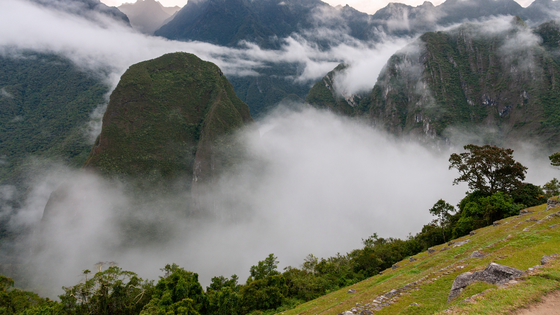 アンデス山脈に住む人々はヒ素の多い水を飲めるように進化してきた