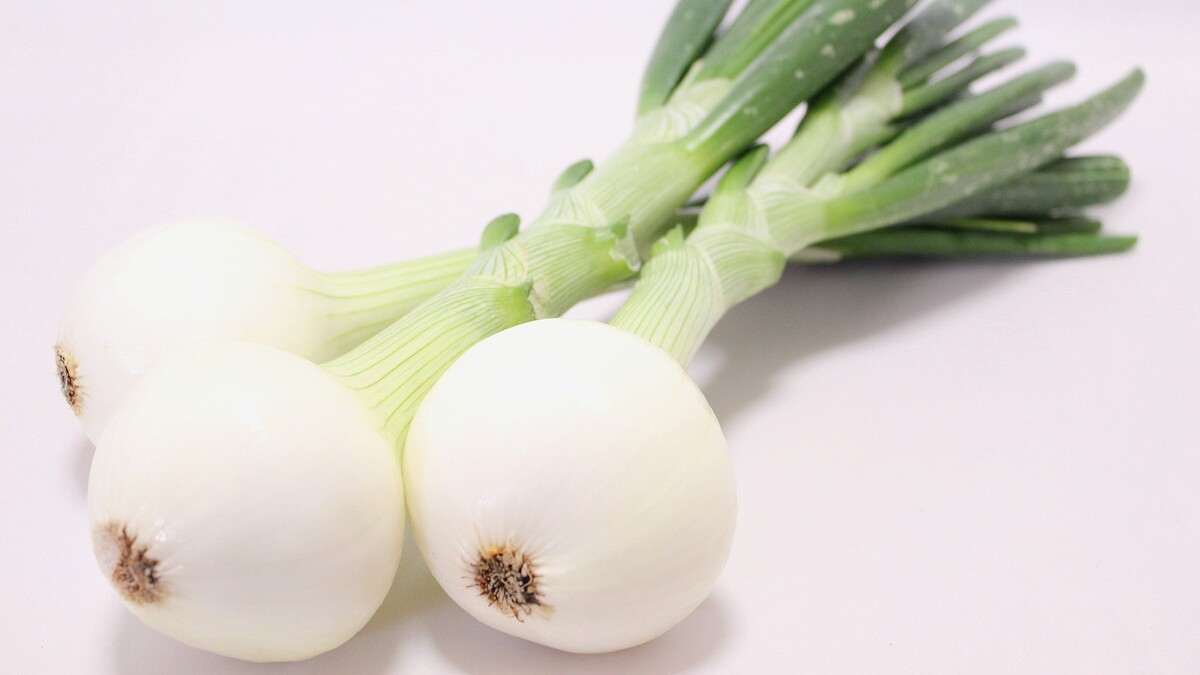 水にさらすと水溶性の成分が流出…新玉ねぎは空気にさらして