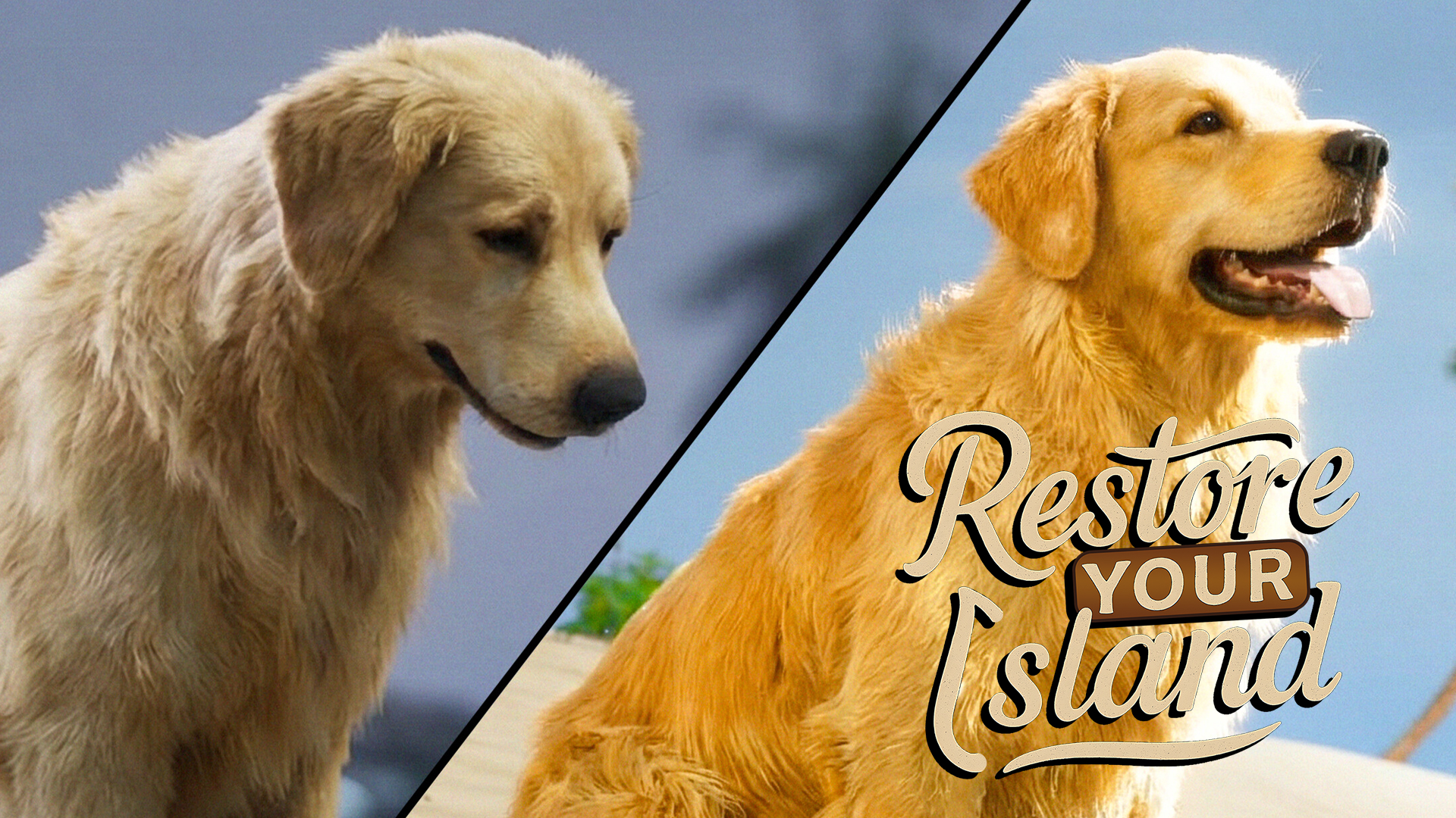 ホームレスが愛犬と共に無人島生活に挑む。ゴミに覆われた島に再び命を吹き込むスローライフ型シム「Restore Your Island」，2026年4月9日に発売