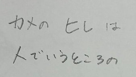 ウミガメの“ヒレ”は手？肩？肘？⇨飼育員の回答に「初めて知った」「丁寧な図解」と4.6万「いいね」