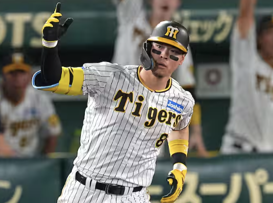 佐藤輝明のゾーン別の打率、エグいことになるwwwwwwwwwww