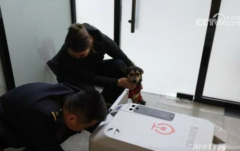 中国の高速鉄道でペットのお預かりサービスが最適化