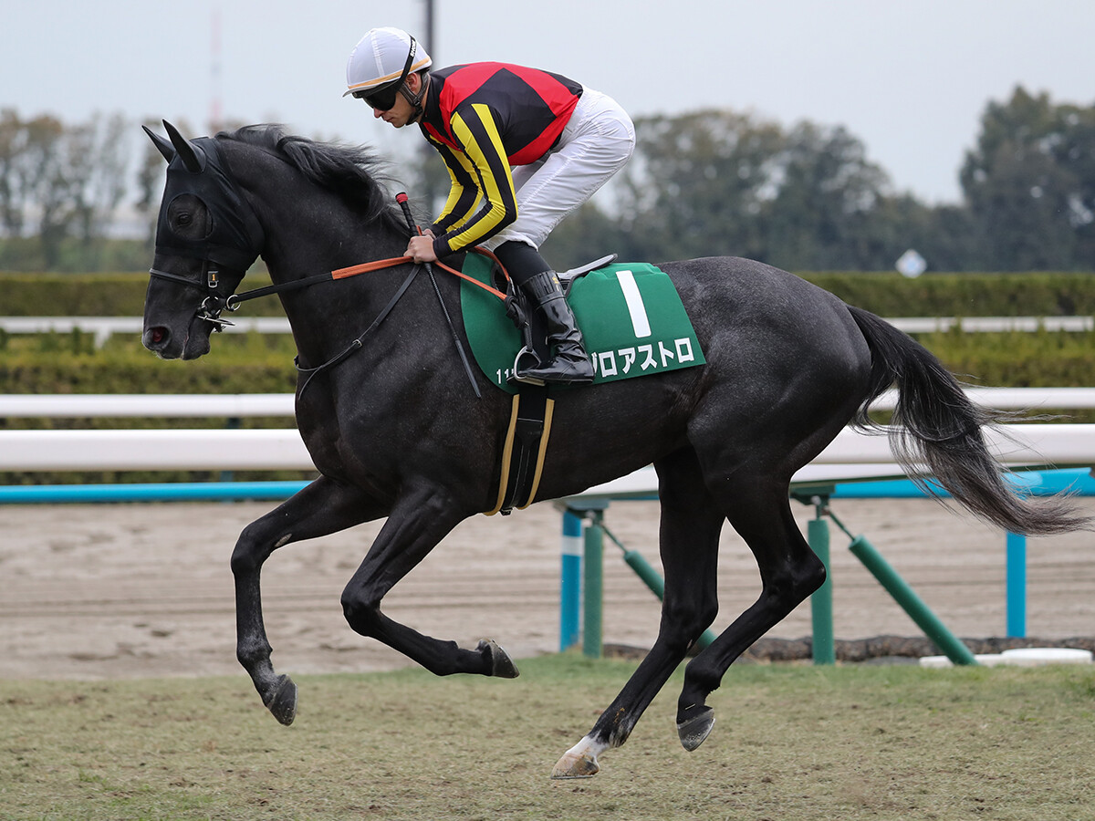【競馬予想】皐月賞の有望株は弥生賞組にいる　混戦状態で浮上する伏兵探しなら「相手なりに走れる馬」