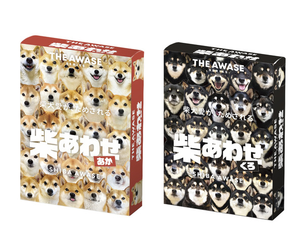 柴犬50頭、全部違う！？“愛があれば見分けられる”神経衰弱カードゲーム『柴あわせ』が予約開始