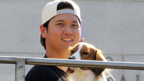 大谷翔平が「3歳になったデコピン」を撮るとこうなる。「写真めちゃくちゃ上手」「物すごいジャンプ力」