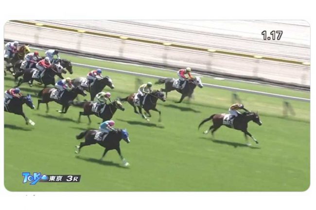 中央競馬でアクシデント あわや落馬を耐えた舟山瑠泉にファンから反響