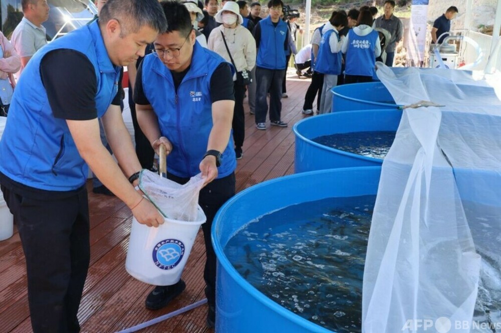 中国の水生生物の増殖・放流数 年初来5億尾超える