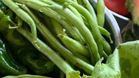 夏野菜に“擬態”したインコ⇨ピーマンやトマトに溶け込む様子に「緑の妖精さん」「どこだ？」と反響