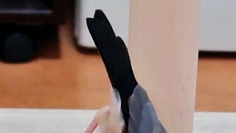 その体勢で…？文鳥の“横着すぎる”ご飯スタイルに「脚力すごい」「ドリンキングバードみたい」