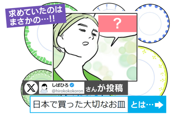 フランス人が日本で買った「大切なお皿」まさかの正体がSNSで話題